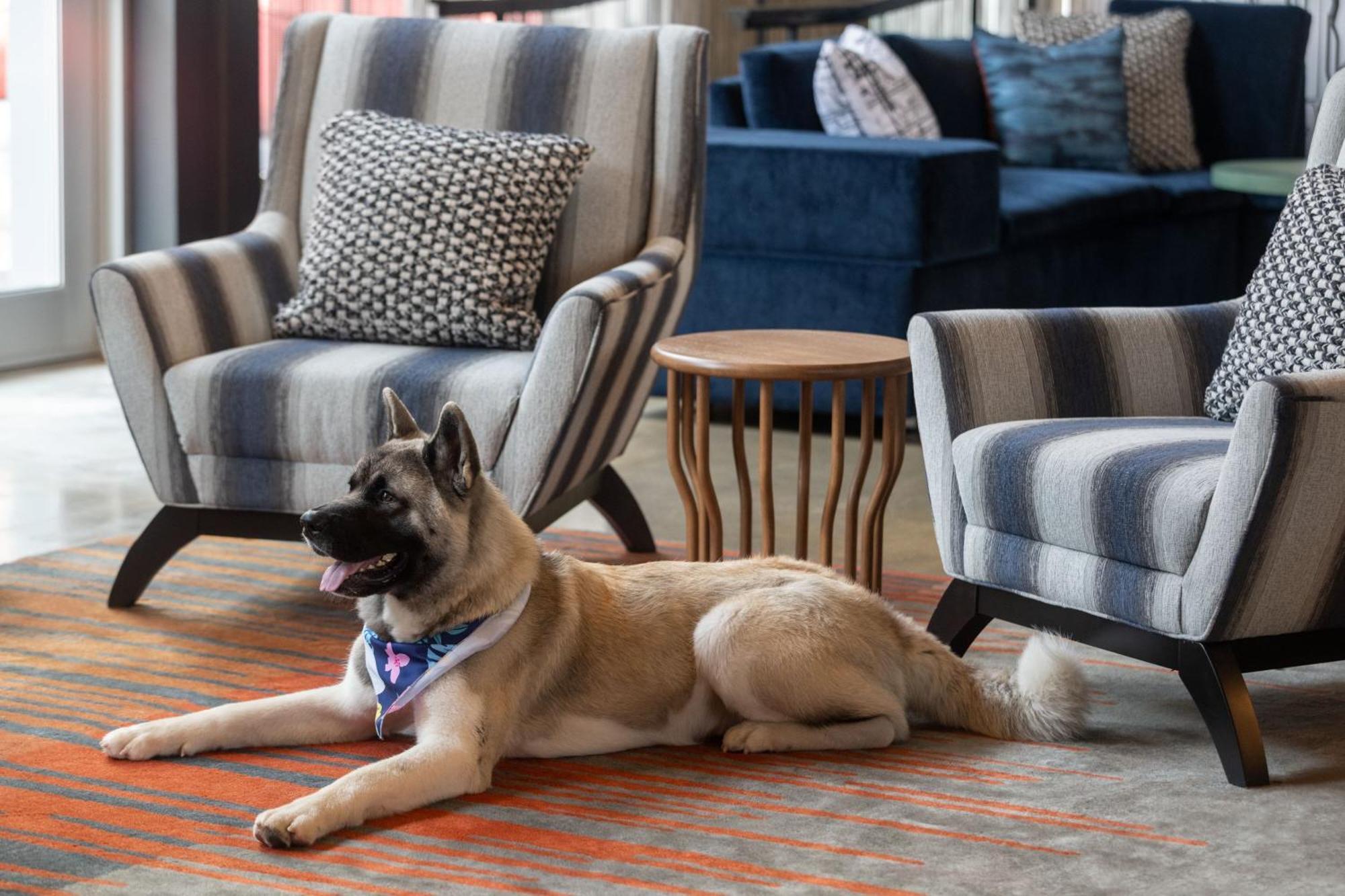 Aloft Hotel 3*